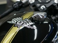 TRIUMPH コーティング実績画像