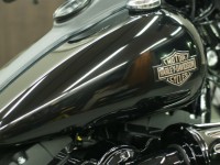H-D DYNA LOW-RIDER S コーティング実績画像