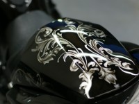 KAWASAKI NINJA ZX-14R ZZR 1400 コーティング実績画像