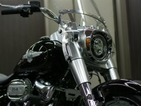 H-D FAT BOY FLFB コーティング実績画像