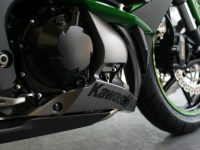 KAWASAKI　NINJA 1000 コーティング実績画像