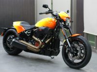 H-D FXDR 114 コーティング実績画像