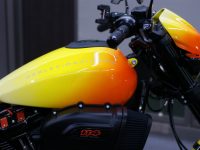 H-D FXDR 114 コーティング実績画像