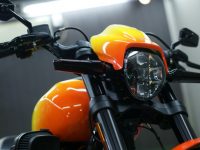 H-D FXDR 114 コーティング実績画像