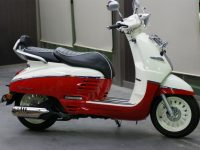 PEUGEOT DJANGO コーティング実績画像