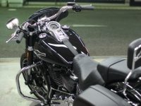 H-D SOFTAIL SPORT-GLIDE コーティング実績画像