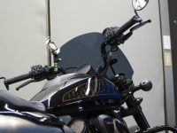 H-D SPORTSTER S コーティング実績画像