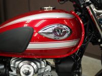 KAWASAKI W800 コーティング実績画像